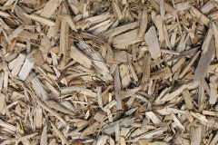 biomass boilers Leath